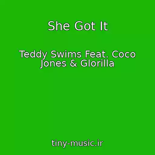 کاور آهنگ She Got It از Teddy Swims Feat. Coco Jones & Glorilla