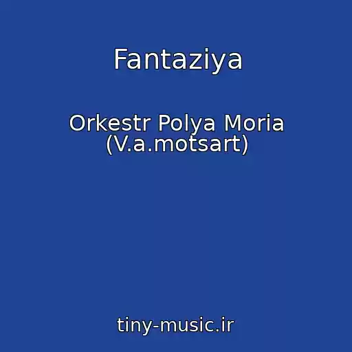 کاور آهنگ Fantaziya از Orkestr Polya Moria (V.a.motsart)