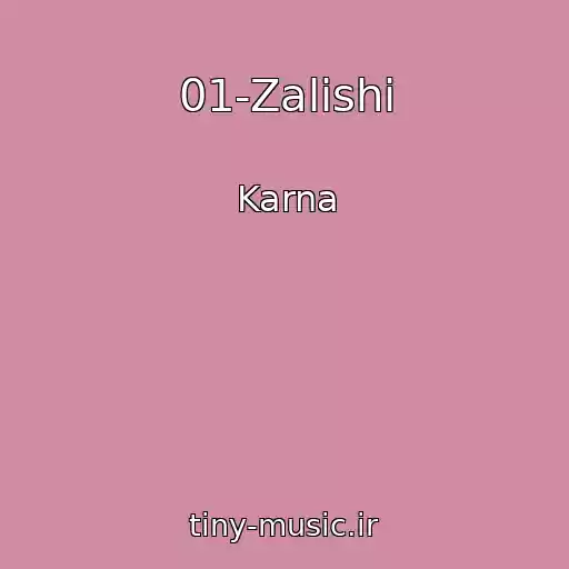 کاور آهنگ 01-Zalishi از Karna