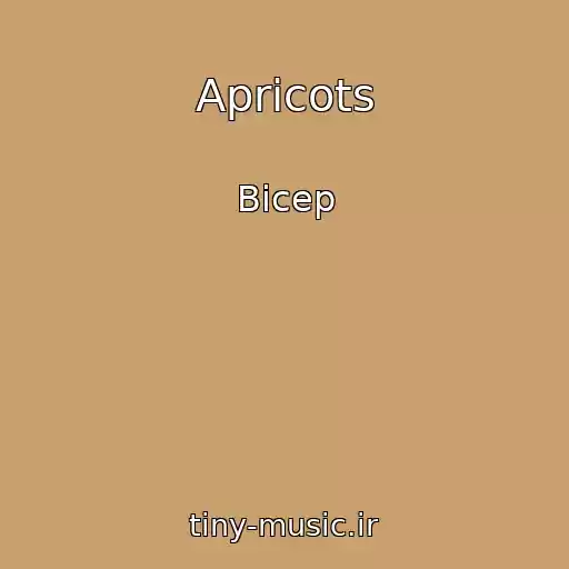 کاور آهنگ Apricots از Bicep