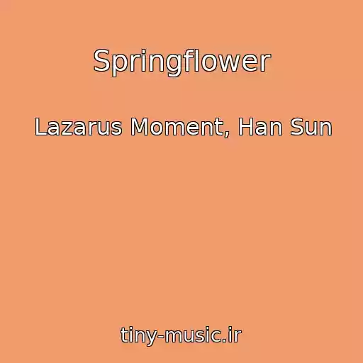 کاور آهنگ Springflower از Lazarus Moment, Han Sun