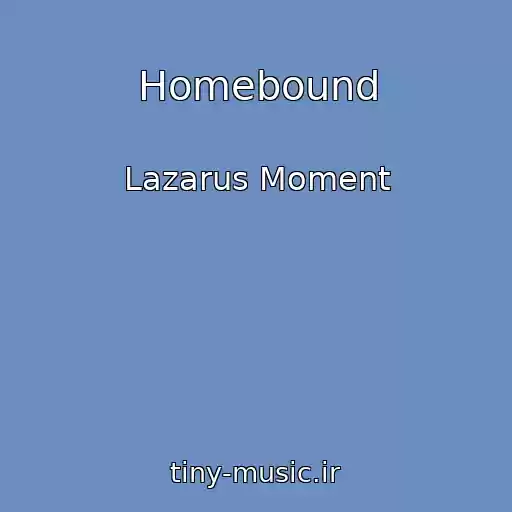 کاور آهنگ Homebound از Lazarus Moment