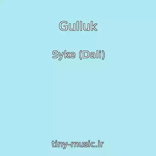 کاور آهنگ Gulluk از Syke (Dali)