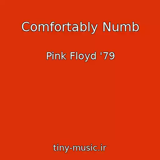 کاور آهنگ Comfortably Numb از Pink Floyd '79