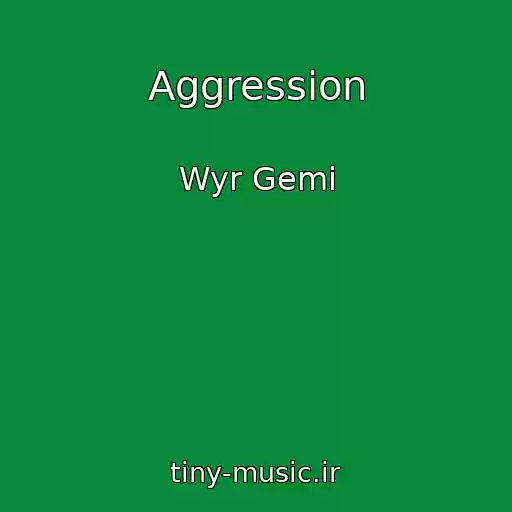 کاور آهنگ Aggression از Wyr Gemi