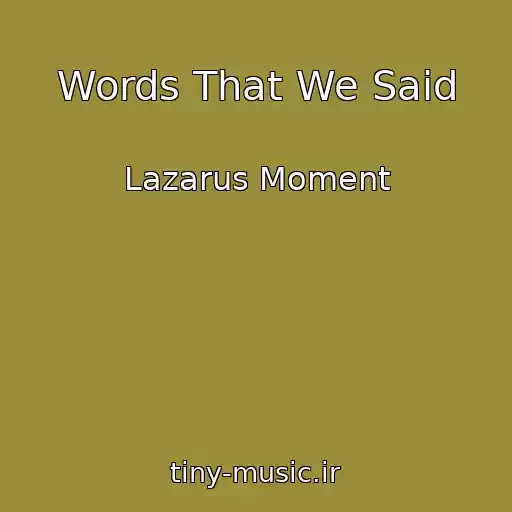 کاور آهنگ Words That We Said از Lazarus Moment
