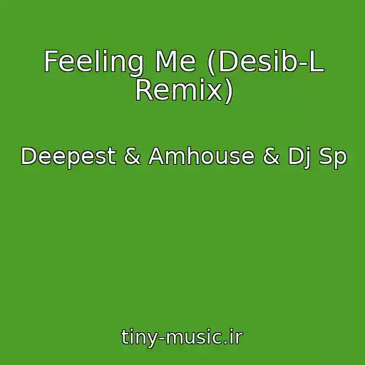 کاور آهنگ Feeling Me (Desib-L Remix) از Deepest & Amhouse & Dj Sp
