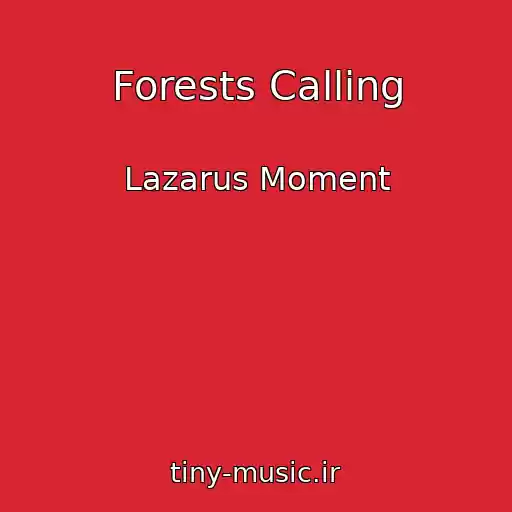 کاور آهنگ Forests Calling از Lazarus Moment