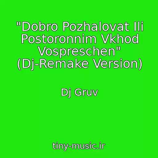 کاور آهنگ "Dobro Pozhalovat Ili Postoronnim Vkhod Vospreschen" (Dj-Remake Version) از Dj Gruv