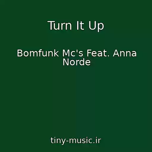 کاور آهنگ Turn It Up از Bomfunk Mc's Feat. Anna Norde