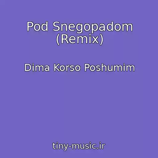 کاور آهنگ Pod Snegopadom (Remix) از Dima Korso Poshumim