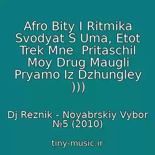 کاور آهنگ Afro Bity I Ritmika Svodyat S Uma, Etot Trek Mne  Pritaschil Moy Drug Maugli Pryamo Iz Dzhungley ))) از Dj Reznik - Noyabrskiy Vybor №5 (2010)