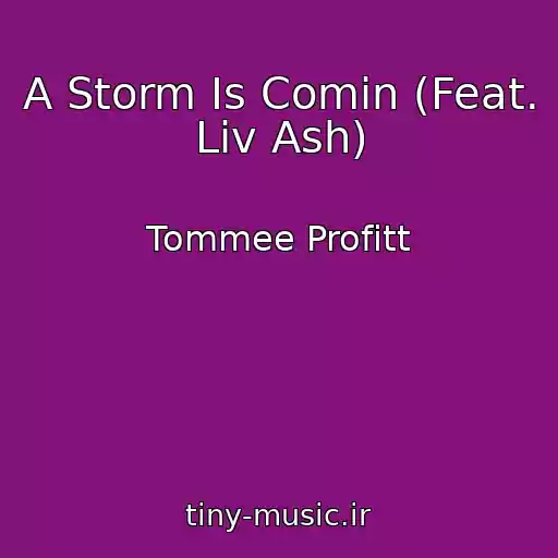 کاور آهنگ A Storm Is Comin (Feat. Liv Ash) از Tommee Profitt