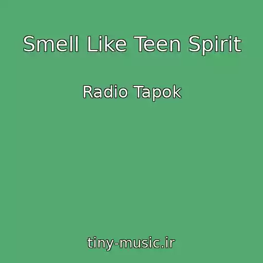کاور آهنگ Smell Like Teen Spirit از Radio Tapok
