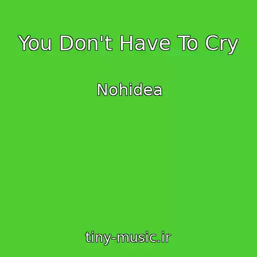 کاور آهنگ You Don't Have To Cry از Nohidea