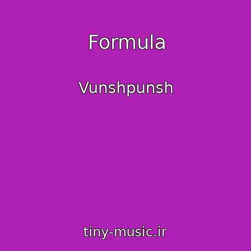 کاور آهنگ Formula از Vunshpunsh