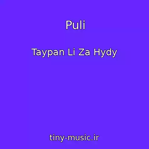 کاور آهنگ Puli از Taypan Li Za Hydy