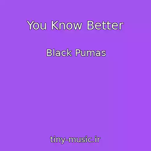 کاور آهنگ You Know Better از Black Pumas