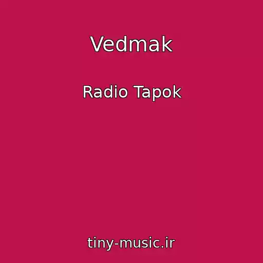 کاور آهنگ Vedmak از Radio Tapok