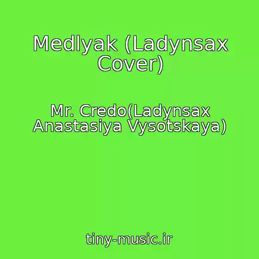 کاور آهنگ Medlyak (Ladynsax Cover) از Mr. Credo(Ladynsax Anastasiya Vysotskaya)
