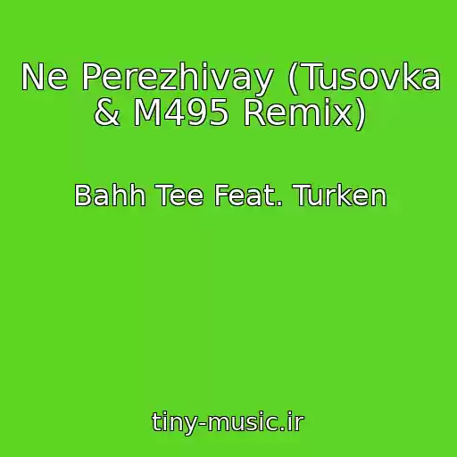 کاور آهنگ Ne Perezhivay (Tusovka & M495 Remix) از Bahh Tee Feat. Turken