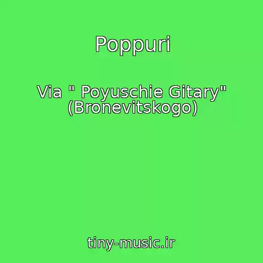 کاور آهنگ Poppuri از Via " Poyuschie Gitary" (Bronevitskogo)