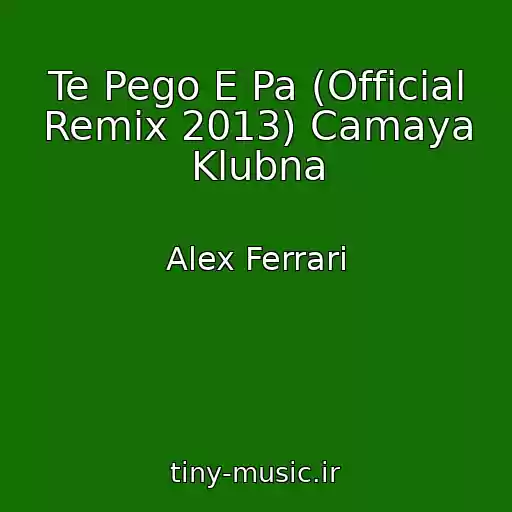 کاور آهنگ Te Pego E Pa (Official Remix 2013) Camaya Klubna از Alex Ferrari