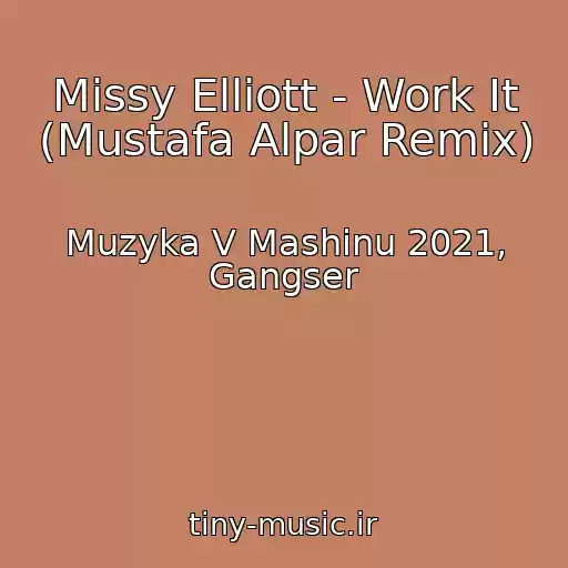 کاور آهنگ Missy Elliott - Work It (Mustafa Alpar Remix) از Muzyka V Mashinu 2021, Gangser