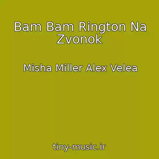 کاور آهنگ Bam Bam Rington Na Zvonok از Misha Miller Alex Velea