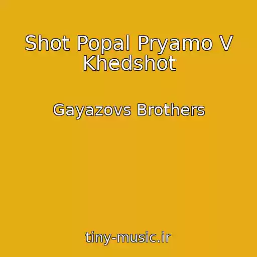 کاور آهنگ Shot Popal Pryamo V Khedshot از Gayazovs Brothers