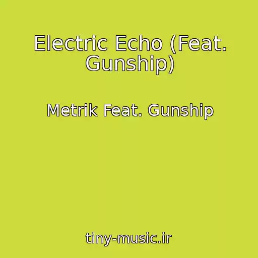 کاور آهنگ Electric Echo (Feat. Gunship) از Metrik Feat. Gunship