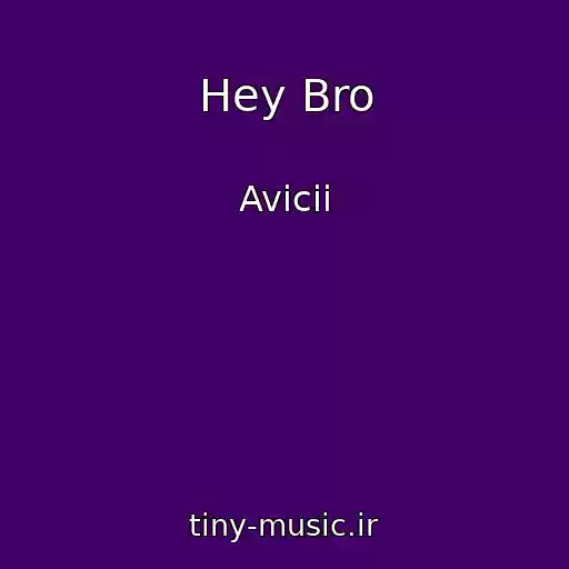 کاور آهنگ Hey Bro از Avicii