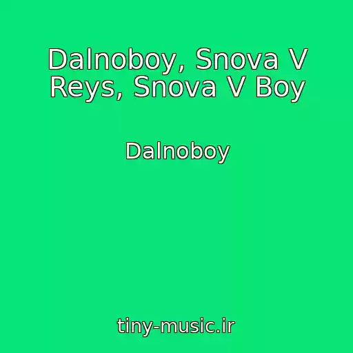 کاور آهنگ Dalnoboy, Snova V Reys, Snova V Boy از Dalnoboy