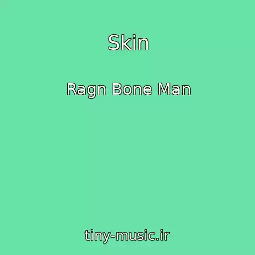 کاور آهنگ Skin از Ragn Bone Man