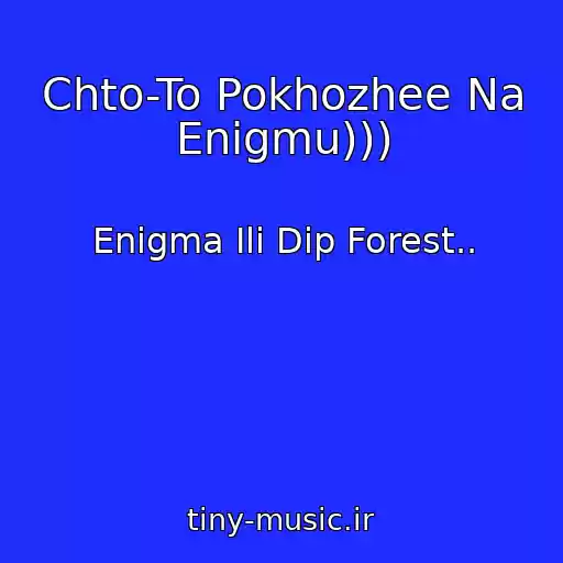 کاور آهنگ Chto-To Pokhozhee Na Enigmu))) از Enigma Ili Dip Forest..
