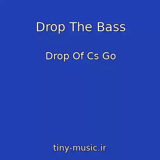 کاور آهنگ Drop The Bass از Drop Of Cs Go