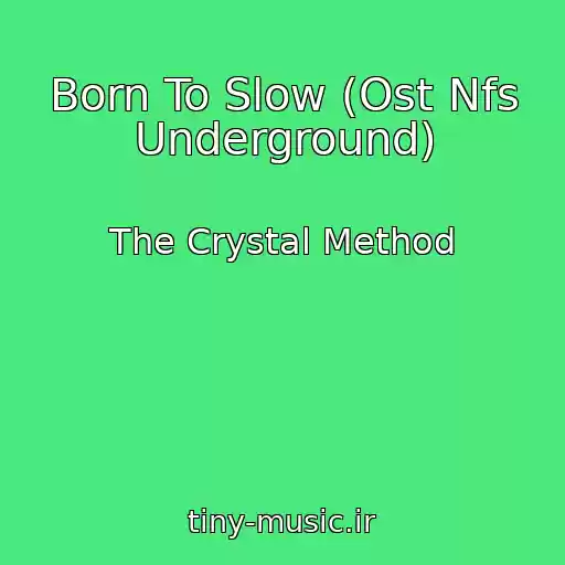 کاور آهنگ Born To Slow (Ost Nfs Underground) از The Crystal Method
