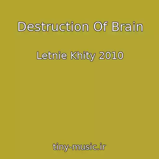 کاور آهنگ Destruction Of Brain از Letnie Khity 2010