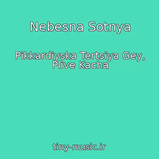 کاور آهنگ Nebesna Sotnya از Pіkkardіyska Tertsіya Gey, Plive Kacha