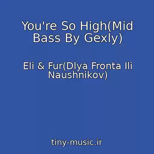 کاور آهنگ You're So High(Mid Bass By Gexly) از Eli & Fur(Dlya Fronta Ili Naushnikov)