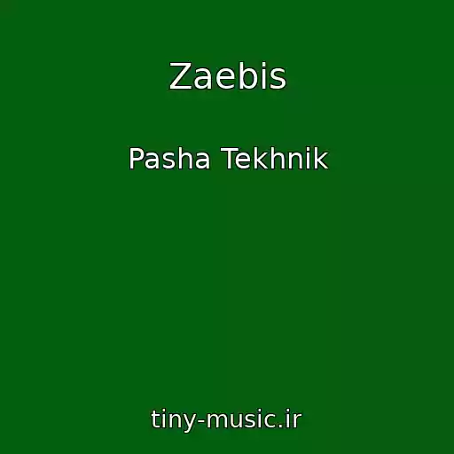 کاور آهنگ Zaebis از Pasha Tekhnik