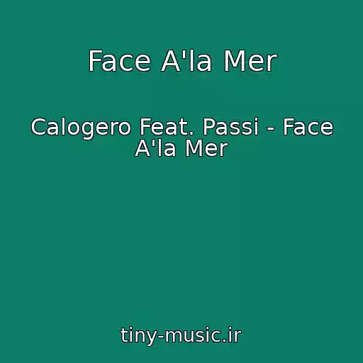 کاور آهنگ Face A'la Mer از Calogero Feat. Passi - Face A'la Mer