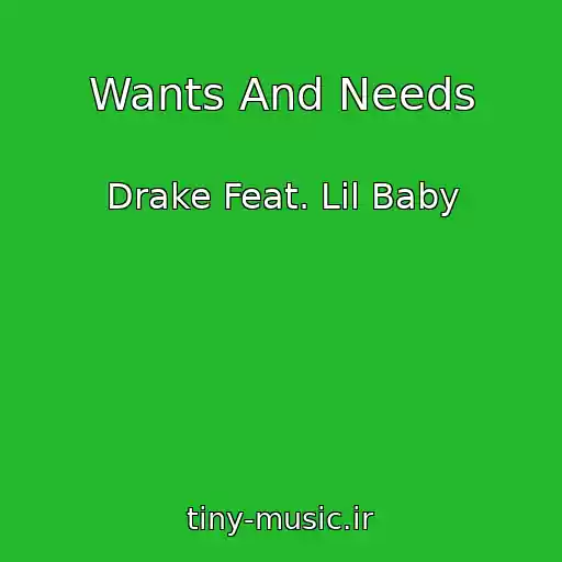 کاور آهنگ Wants And Needs از Drake Feat. Lil Baby