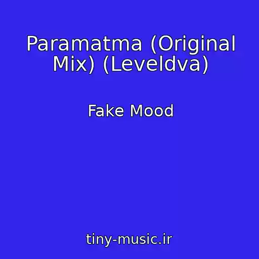 کاور آهنگ Paramatma (Original Mix) (Leveldva) از Fake Mood