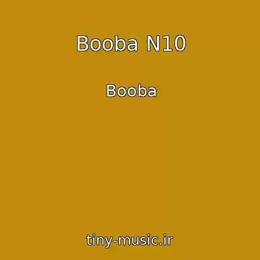 کاور آهنگ Booba N10 از Booba