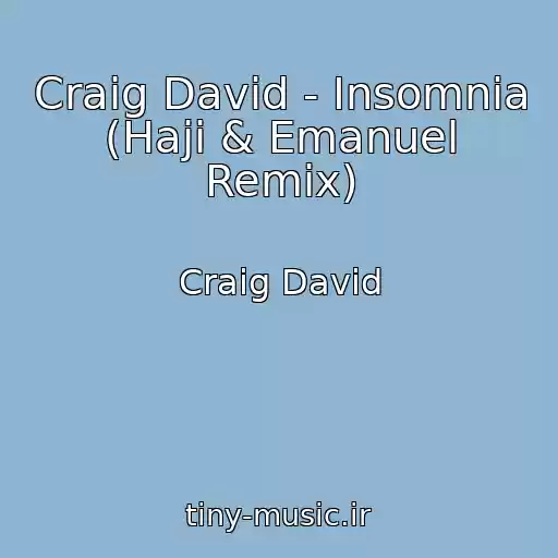 کاور آهنگ Craig David - Insomnia (Haji & Emanuel Remix) از Craig David