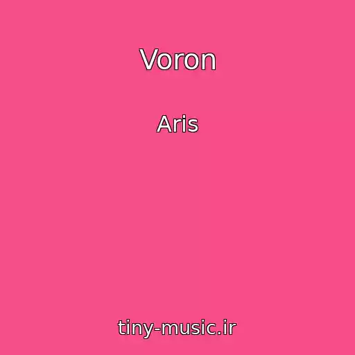 کاور آهنگ Voron از Aris