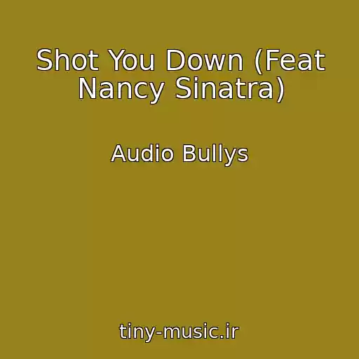 کاور آهنگ Shot You Down (Feat Nancy Sinatra) از Audio Bullys