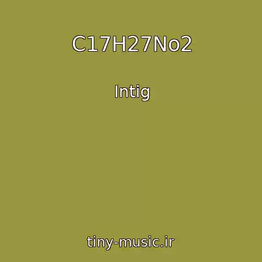 کاور آهنگ C17H27No2 از Intig