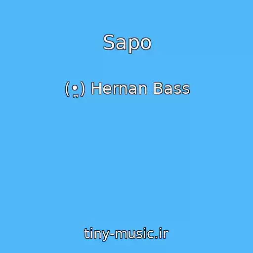 کاور آهنگ Sapo از (•̪) Hernan Bass
